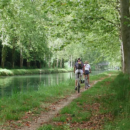 Chalet Detached On The Banks Of The Lot Castelmoron-sur-Lot